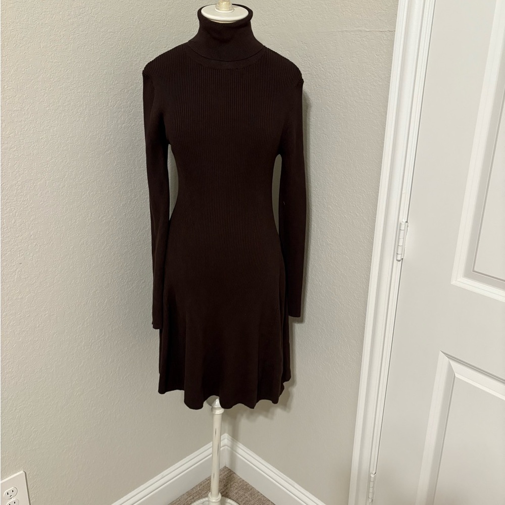 Zara ChocolateTurtleneck Long Sleeve Dress